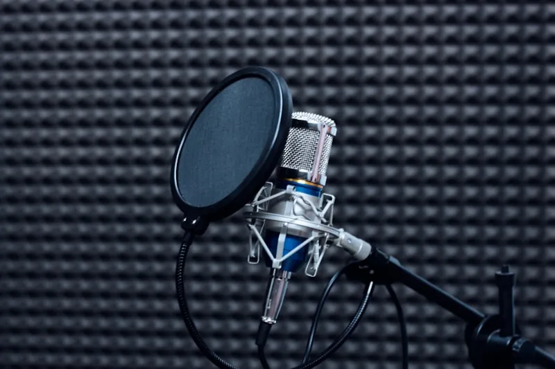 Audio